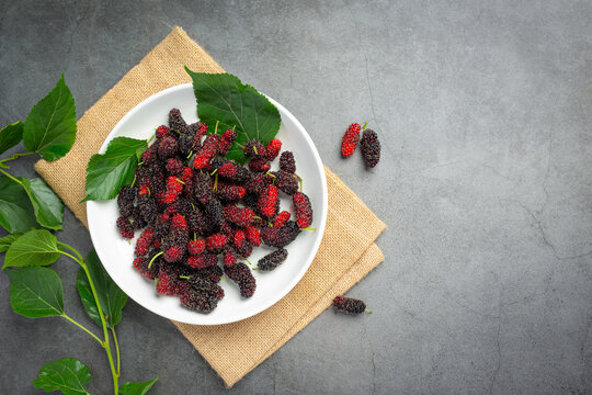 Fresh mulberrys on dark backgroud