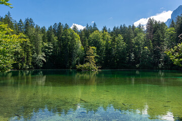 Beautiful crystal clear lake in the forest of the Bavarian Alps,  Germany