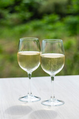 爽やかなワイン、白ワイン、ワイングラスのイメージ