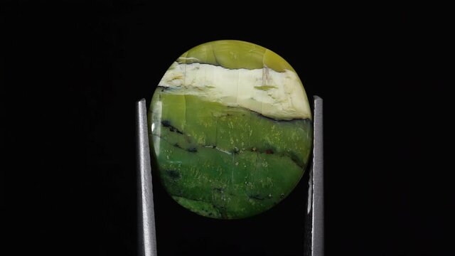 natural green opal gemstone in the tweezer on the background
