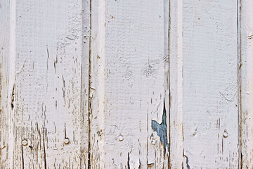 Wooden boards with a pronounced texture and traces of old gray paint. Wall, it can be used as background and photo Wallpaper.