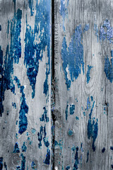 Wooden boards with a pronounced texture and traces of old blue paint. Wall, it can be used as background and photo Wallpaper.