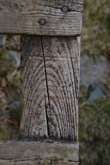 Wood Texture