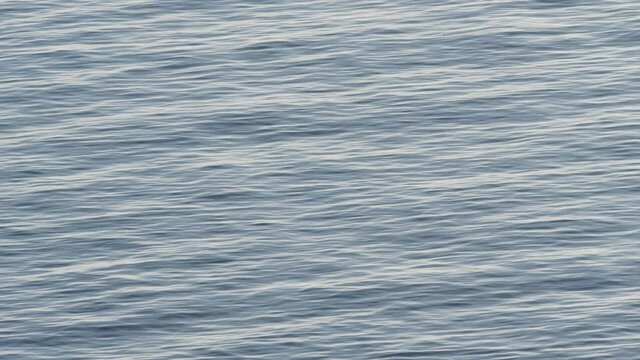 Blue grey sea water surface at cloudy sunless day.  Nature background.