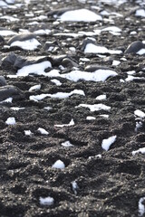 Sable d'Islande