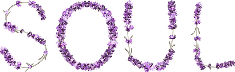 vector inscription SOUL made in the form of lavender sprigs in bright colors