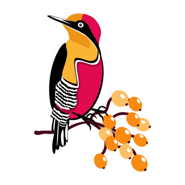 vector image of a beautiful bird on a branch with berries on a white
