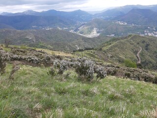 Discovering the mountains around Genoa. Panoramic view to the city. Grey sky in the background. First green leaves in spring.