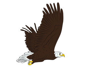Cartoon flying wild eagle in isolate on a white background. Vector illustration.