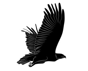 Black silhouette Cartoon flying wild eagle in isolate on a white background. Vector illustration.
