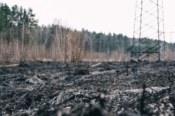 Burnt ground next to the high voltage line