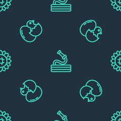 Set line Garden hose, Little chick in cracked egg and Sunflower on seamless pattern. Vector