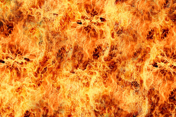 Real fire flame texture background