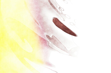 Abstract colorful watercolor on white background. Digital art painting.