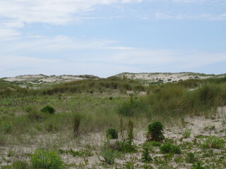 Obraz premium Dune Baie De Somme