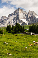 italian alps landscape with cloudy sky