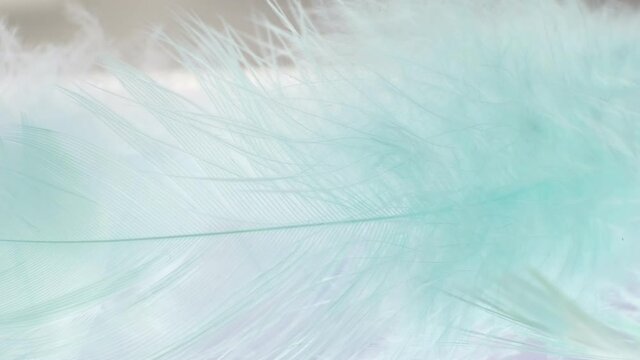 Light fluffy a white feathers abstract background. Macro, Close up. selective focus, blurred focus. slow motion video stock footage.