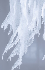 Fototapeta premium Ice and icicle formation. Beautiful shape of a melting icicle. Crooked icicles, vertical image