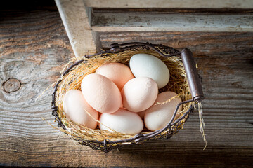 Ecological eggs with hen feathers. Eggs from a free-range farm.
