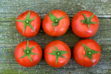 red tomatoes on wooden background