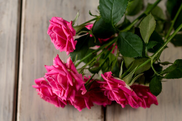 バラの花　室内撮影