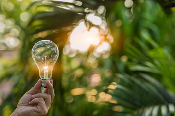 Light bulb Energy saving beautiful green nature background sun shines through the tree