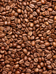 coffee bean brown roasted caffeine espresso seed