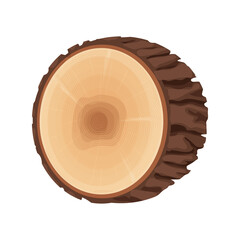 Tree stump, cross section of tree, textured, detailed isolated on white background in flat cartoon style. Cut round trunk with rings.