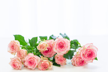 pink roses bouquet in white background