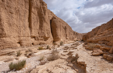 Panoramic landscape of a white stone bed of a dry wadi Hava in a remote desert region of the Northern Negev. Impressive high vertical sandstone walls of the canyon.