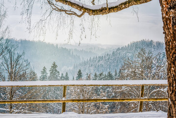 snowy landscape in the bavarian forest