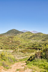 Fototapeta na wymiar landscape an views to Mount Teide from a hiking trail near Erjos on the island of Tenerife