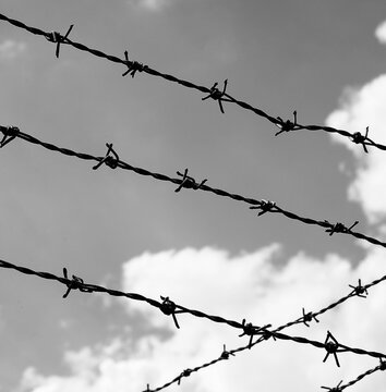 lines of barbed wire to delimit the boundary of the territory with black and white effect