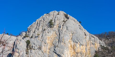 The top of the white mountain with pine trees contrasted with the piercing blue sky.