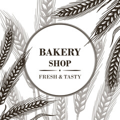 Vector background with wheat ears. For the decoration of food products, pastry shops, cafes and restaurants.
