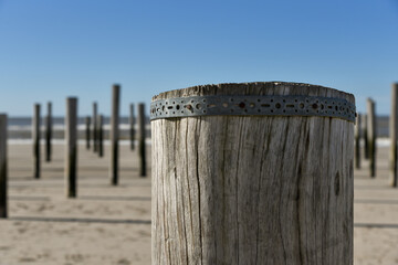 Obraz na płótnie Canvas the wooden poles village at the beach near Petten, the Netherlands.