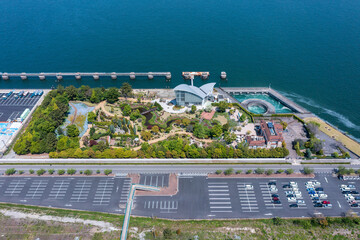 名古屋市港区　ワイルドフラワーガーデン　ブルーボネット全景1　ドローン空撮