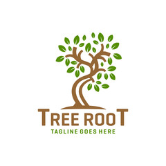 Obraz premium plant root tree logo design