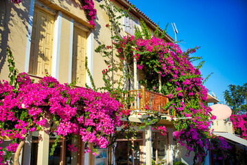 Purple flowers decorate the balconies of the building.