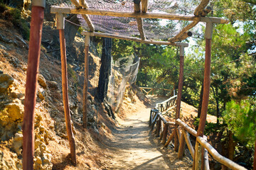 Fototapeta na wymiar Ennobled stone trail in a mountain pine forest.