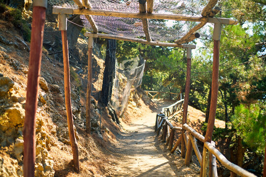 Ennobled stone trail in a mountain pine forest.