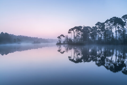 tranquil misty sunrise over a lake near Oisterwijk, Dutch landscape blue hour