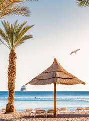Morning on sandy beach of the Red Sea, Middle East