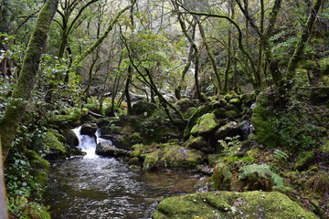 PARQUE NATURAL