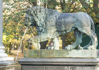 lion, statue, sculpture, stone, monument, architecture, art, europe, old, marble, animal, ancient,...