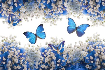 butterfly on the blue background