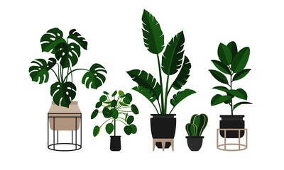 Houseplants. Flowers in pots. Vector illustration. Plants in a modern, trendy Scandinavian style for the interior. Palm, monstera, pilea, cactus, ficus.
