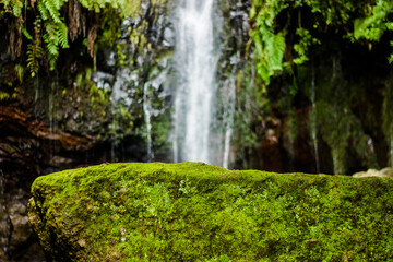 Island of Madeira Waterfall - Portugal