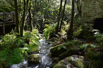 Obraz premium PARQUE NATURAL