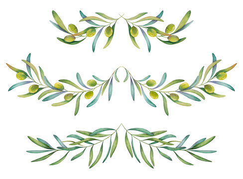 Green olive branches with leaves for decoration, vintage border